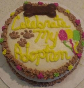 dog adoption celebration cake