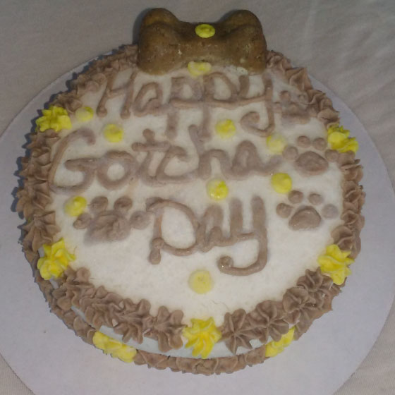 Dog gotcha day discount cake